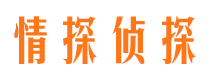 宁陕外遇取证